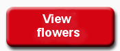 Send flowers online