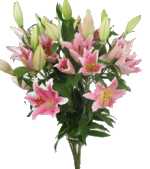 online flowers delivery to Angus